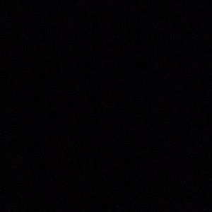 Meet your Posher, Bella